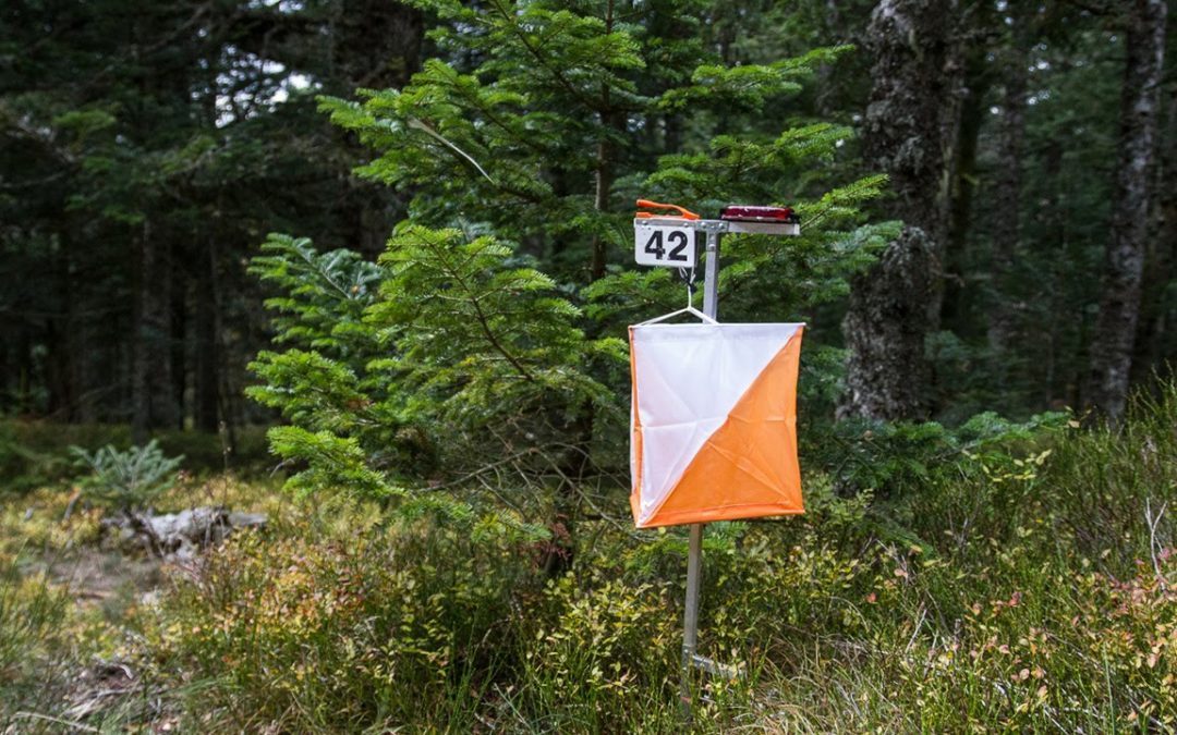 Championnat départemental de course d’orientation: les informations