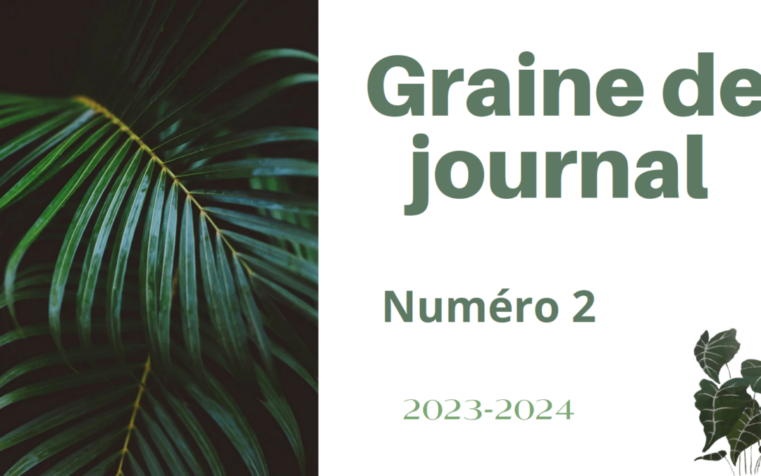 Graine de journal